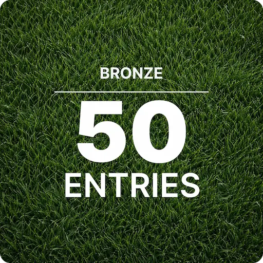 Bronze VIP
