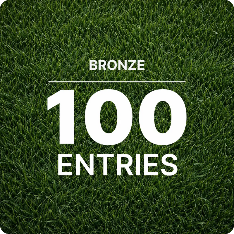 Bronze VIP