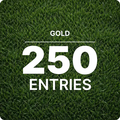 Gold VIP Special