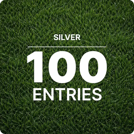 Silver VIP