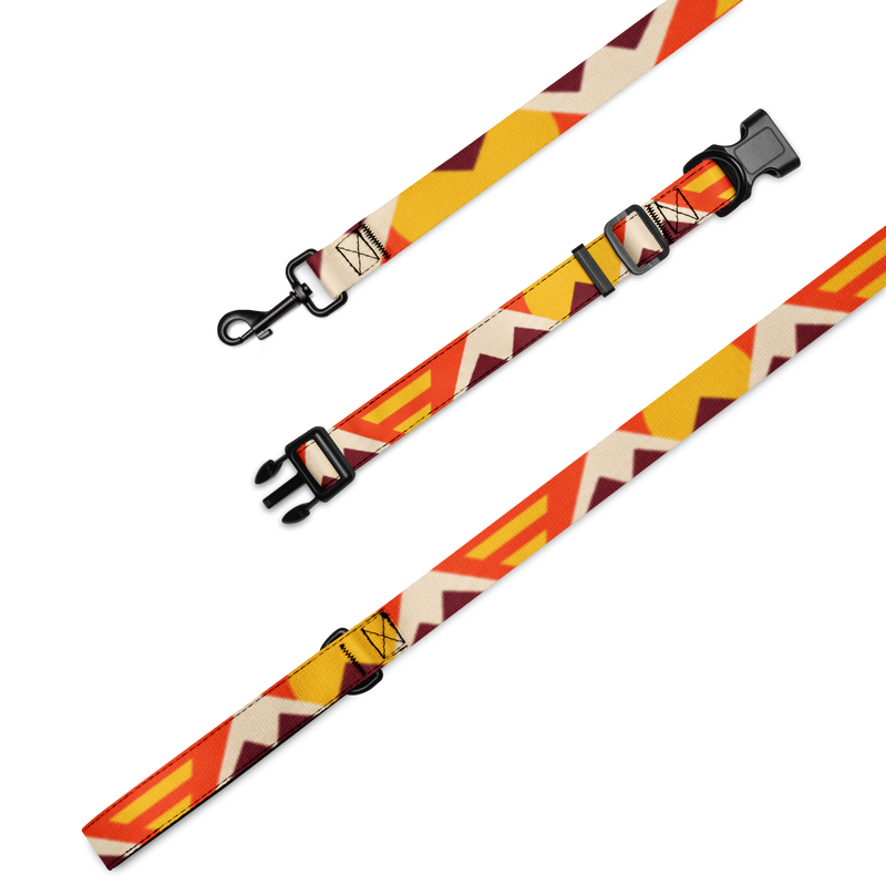 Fire Camp Pet collar & leash